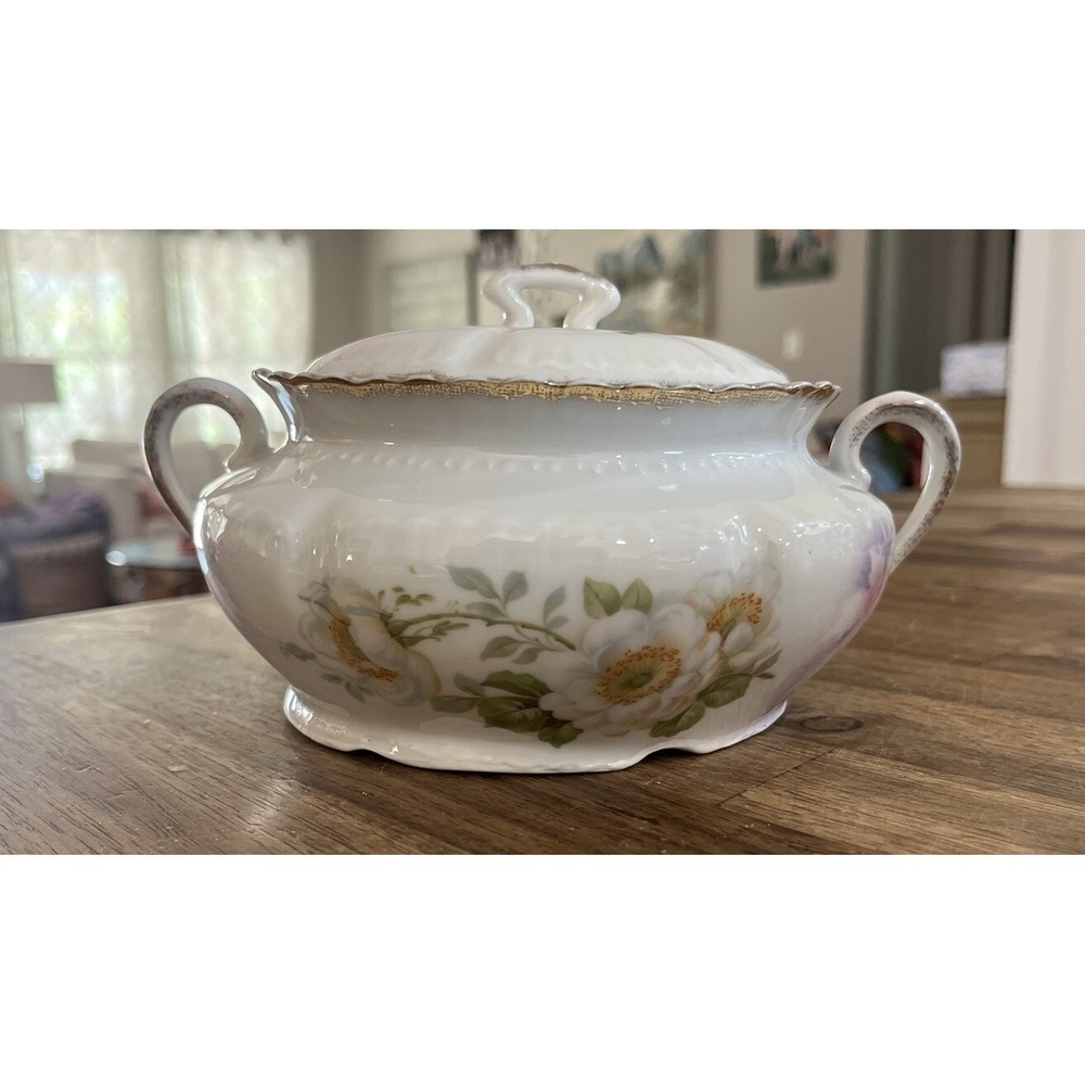 Bavarian Tureen Bowl Dish with Lid Roses‎ Flowers Green Tint Bavaria Vintage SCH